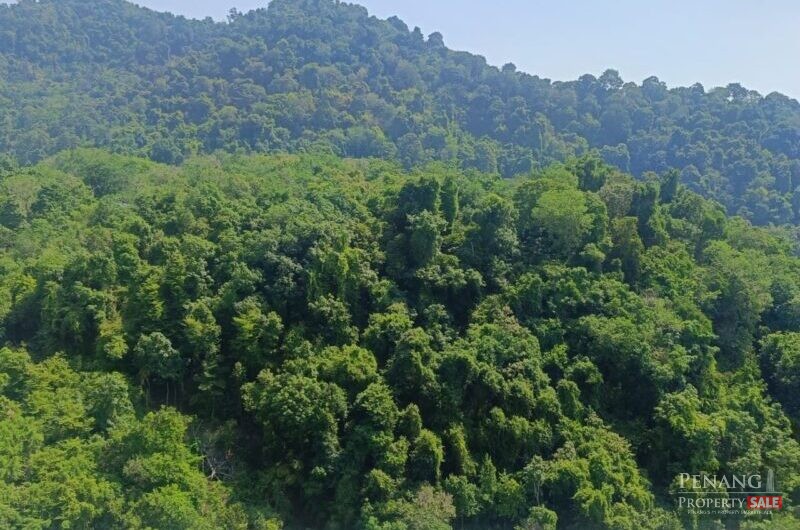 For Sale The Terraces Condominiums Bayan Lepas 11900 Pulau Pinang