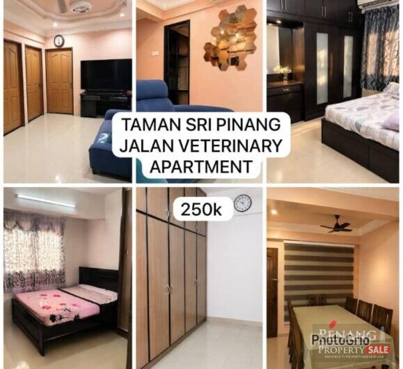 For Sale Taman Sri Pinang Flat Georgetown 6