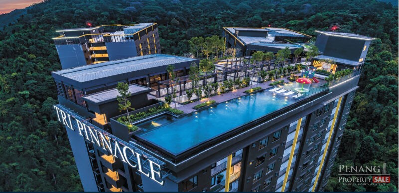 Tri Pinnacle, fully renovated and furnished, high floor
