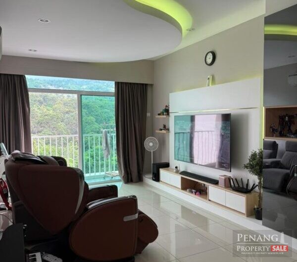 Setia Pinnacle, Sungai Ara