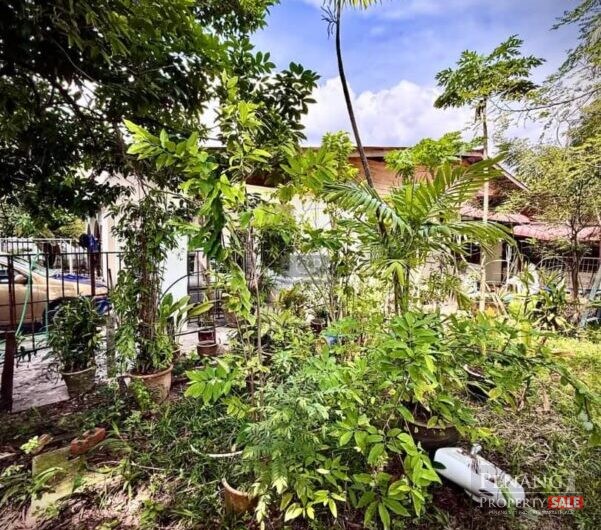 For Sale Single Storey Semi Detached House Gelugor 11700 Pulau Pinang