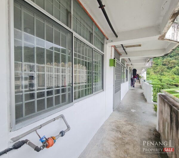 Majestic Heights Apartment Near Paya Terubong Avenue For Rent