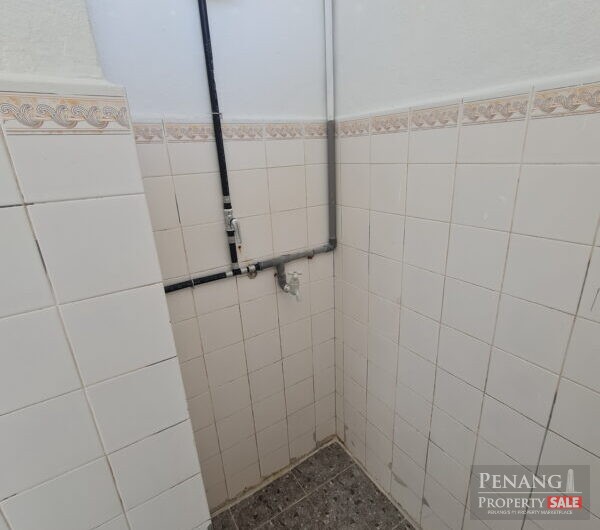 Majestic Heights Apartment Near Paya Terubong Avenue For Rent