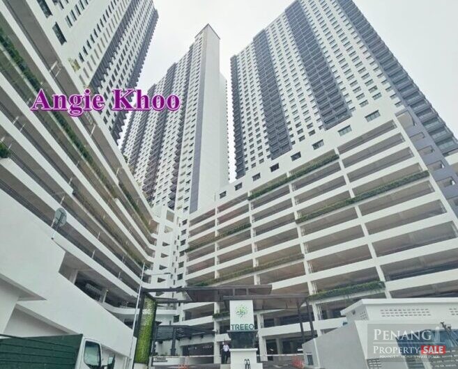 Basic unit 2 Car Parks Sungai Ara Cityview TreeO Condo 900sqft
