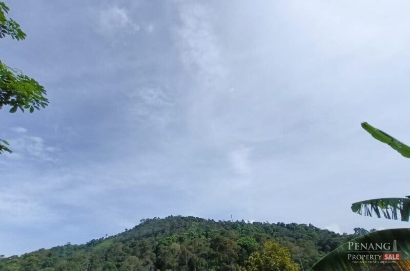 Sungai Ara Durian Farm Orchard Sale