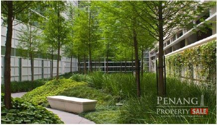 Hotel Rooms for Sale Center of Georgetown