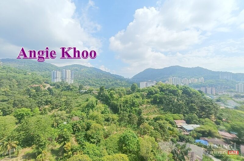 Hillview 2 car park SIDE BY SIDE Fairview residence Sungai Ara 970sqft