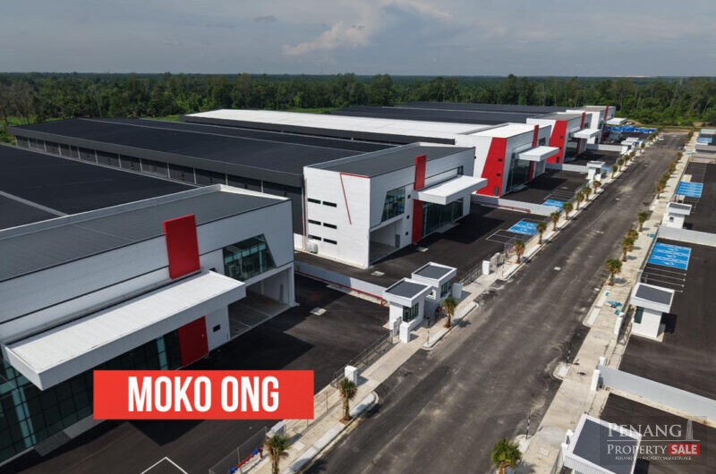 Brand New 1.5 Storey Detached Factory For Rent Valdor Industrial Area