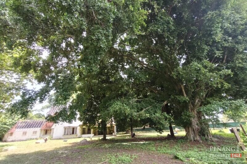 Western Avenue Bungalow Land , Lebuh Western Georgetown