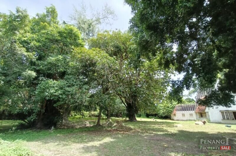 Western Avenue Bungalow Land , Lebuh Western Georgetown