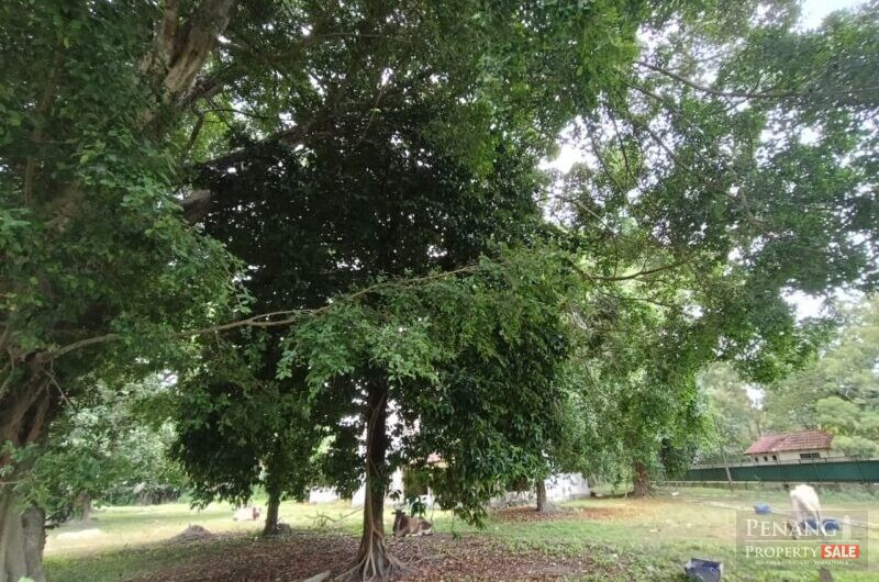 Western Avenue Bungalow Land , Lebuh Western Georgetown