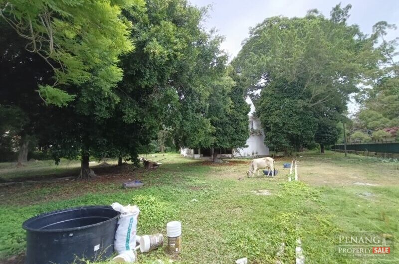 Western Avenue Bungalow Land , Lebuh Western Georgetown