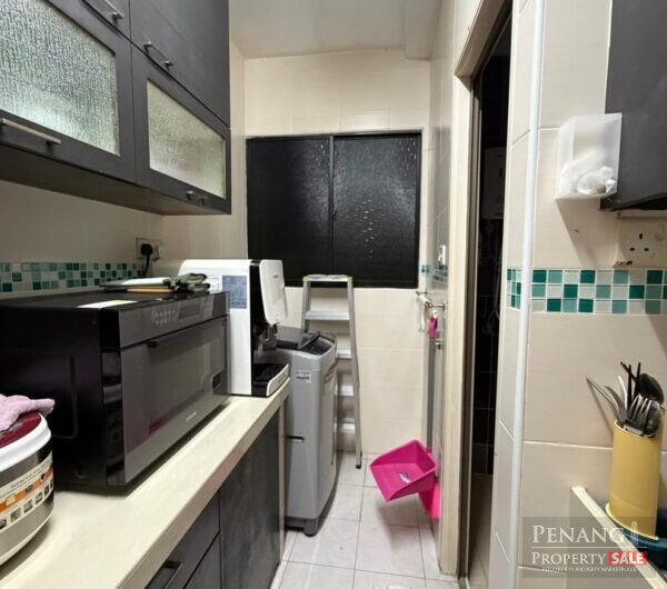 Relau Vista Apartment for sales