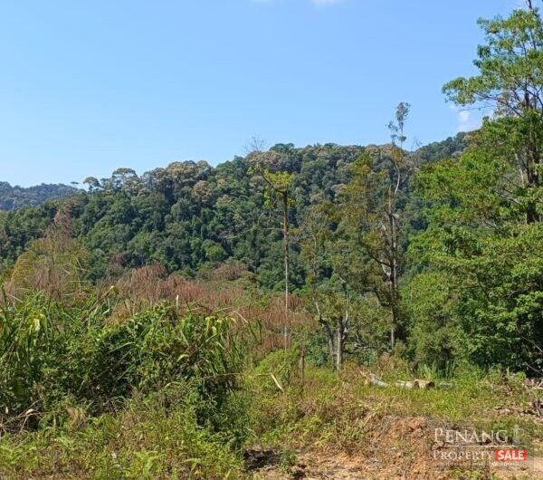Land @ Ayer Itam Dam, Jalan Balik Pulau, Ayer Itam, Penang