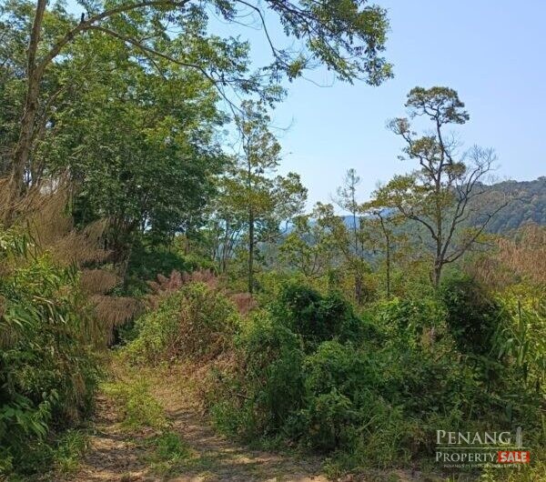 Land @ Ayer Itam Dam, Jalan Balik Pulau, Ayer Itam, Penang