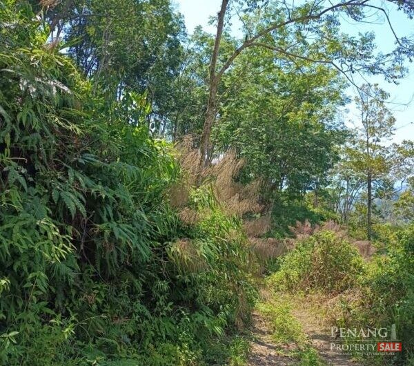 Land @ Ayer Itam Dam, Jalan Balik Pulau, Ayer Itam, Penang
