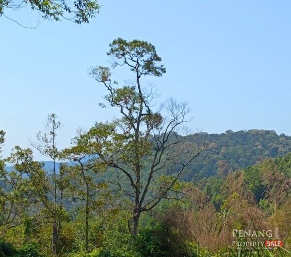Land @ Ayer Itam Dam, Jalan Balik Pulau, Ayer Itam, Penang