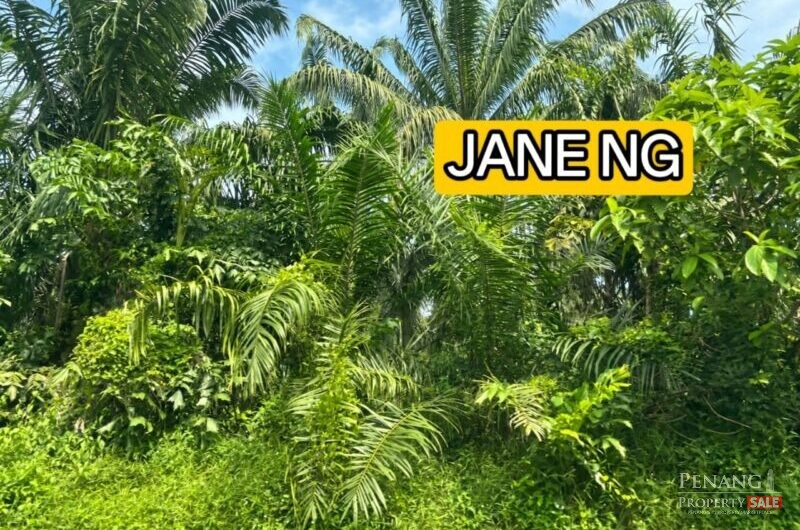 Permatang Tinggi Bukit Minyak Land 13.7 acre Zon Industry Penang Tanah
