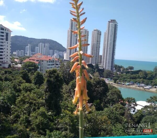 For Sale Diamond Villa Condominiums Emerald Tower Block Tanjong Bungah Pulau Pinang
