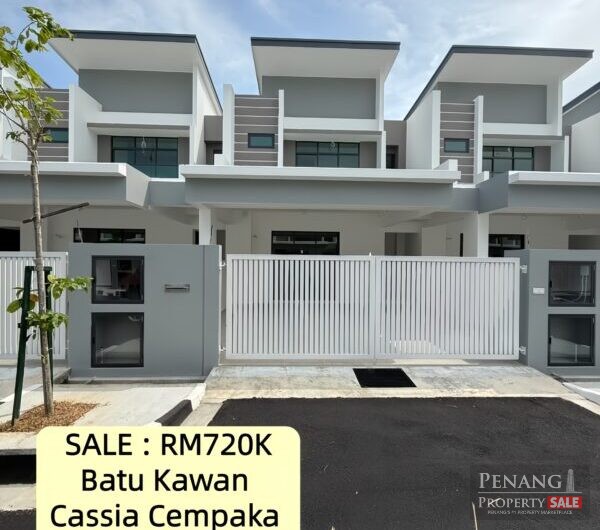 Brand New Cassia Cempaka Cassia Cempaka For Sale